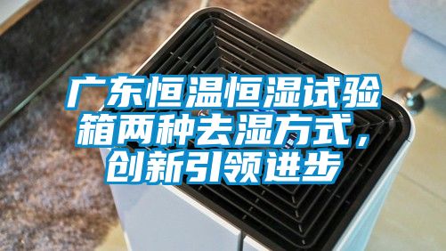 廣東恒溫恒濕試驗(yàn)箱兩種去濕方式，創(chuàng)新引領(lǐng)進(jìn)步