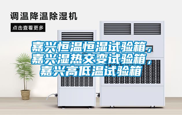 嘉興恒溫恒濕試驗(yàn)箱，嘉興濕熱交變?cè)囼?yàn)箱，嘉興高低溫試驗(yàn)箱
