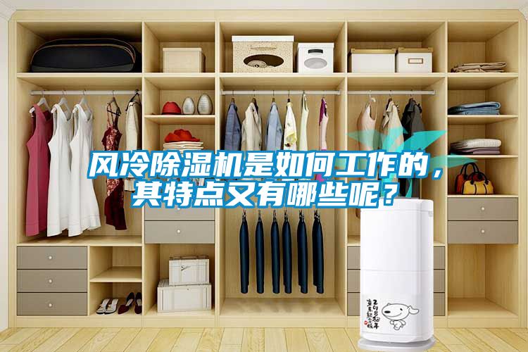 風(fēng)冷除濕機是如何工作的，其特點又有哪些呢？