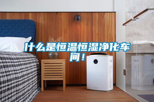什么是恒溫恒濕凈化車間！