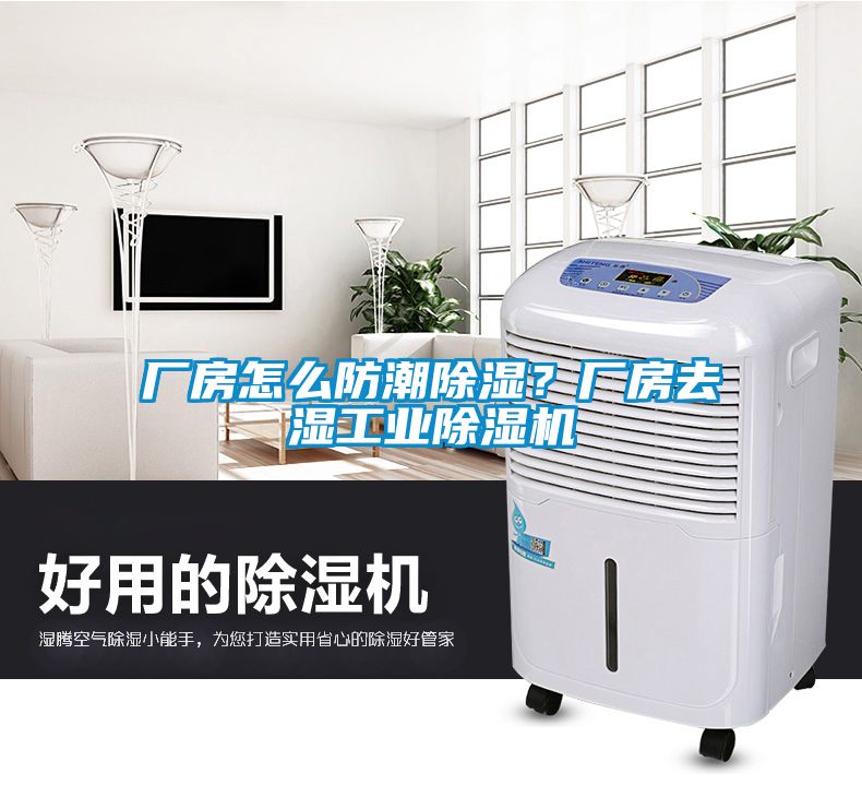 廠房怎么防潮除濕？廠房去濕工業(yè)除濕機(jī)