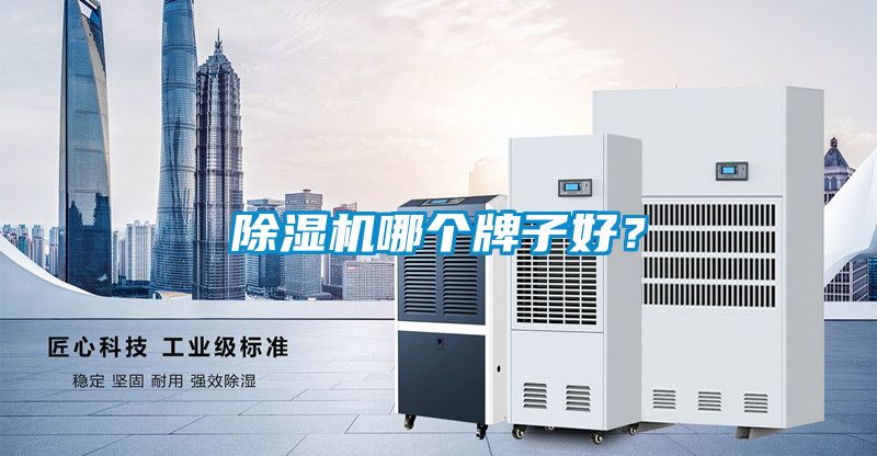 除濕機哪個牌子好？