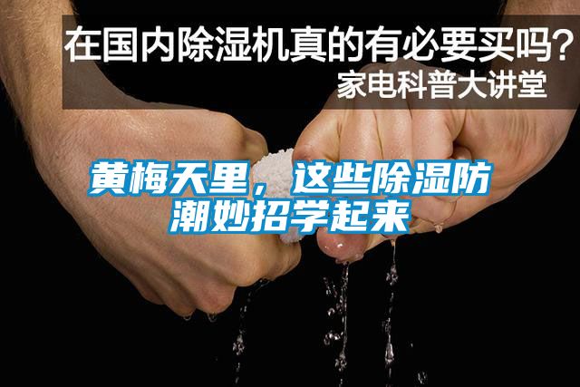 黃梅天里，這些除濕防潮妙招學(xué)起來