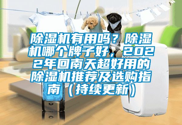 除濕機(jī)有用嗎？除濕機(jī)哪個(gè)牌子好，2022年回南天超好用的除濕機(jī)推薦及選購(gòu)指南（持續(xù)更新）