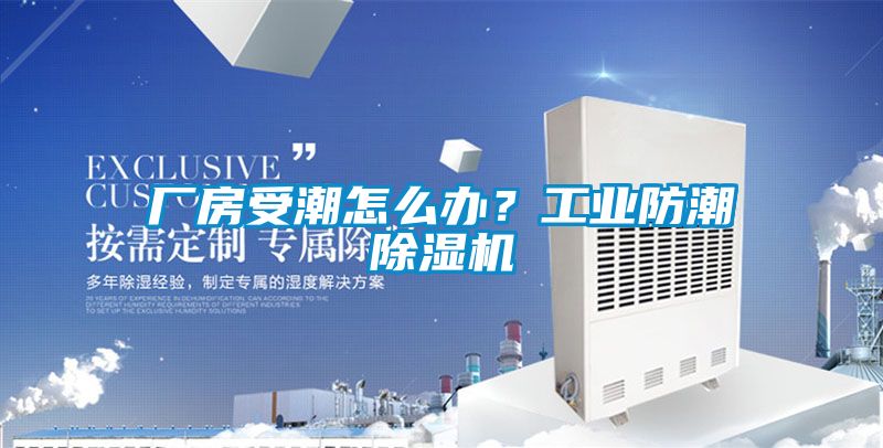 廠房受潮怎么辦？工業(yè)防潮除濕機