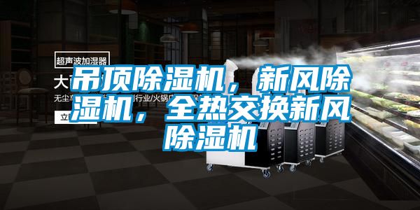 吊頂除濕機(jī)，新風(fēng)除濕機(jī)，全熱交換新風(fēng)除濕機(jī)