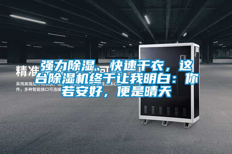 強(qiáng)力除濕、快速干衣，這臺除濕機(jī)終于讓我明白：你若安好，便是晴天