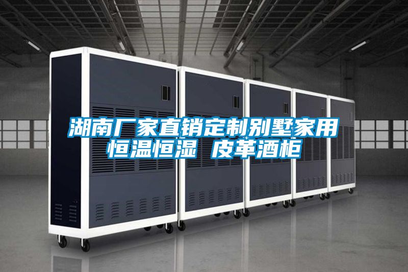 湖南廠(chǎng)家直銷(xiāo)定制別墅家用恒溫恒濕 皮革酒柜