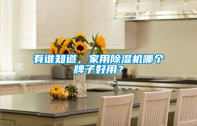 有誰知道，家用除濕機(jī)哪個牌子好用？