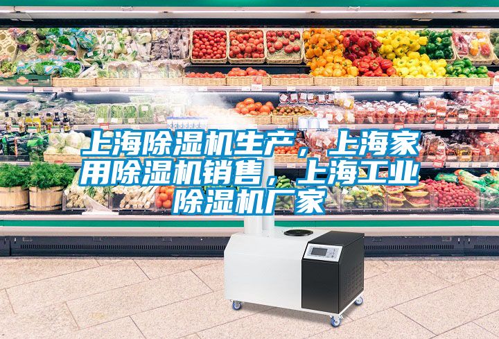 上海除濕機(jī)生產(chǎn)，上海家用除濕機(jī)銷售，上海工業(yè)除濕機(jī)廠家
