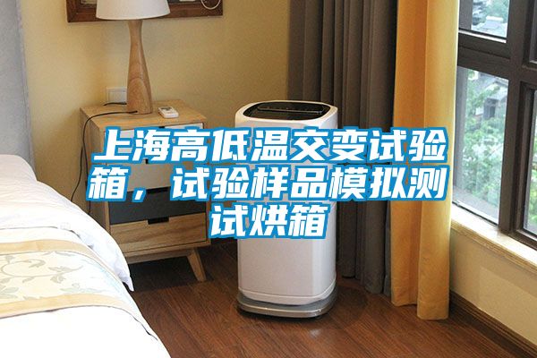 上海高低溫交變試驗箱，試驗樣品模擬測試烘箱