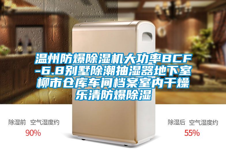 溫州防爆除濕機(jī)大功率BCF-6.8別墅除潮抽濕器地下室柳市倉(cāng)庫(kù)車間檔案室內(nèi)干燥樂清防爆除濕