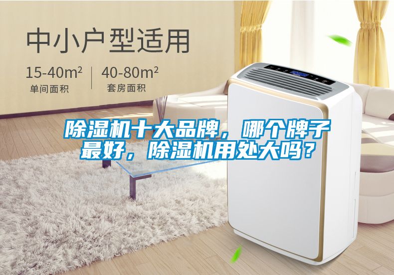 除濕機(jī)十大品牌，哪個牌子最好，除濕機(jī)用處大嗎？