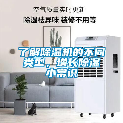 了解除濕機的不同類型，增長除濕小常識