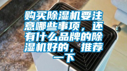 購(gòu)買除濕機(jī)要注意哪些事項(xiàng)，還有什么品牌的除濕機(jī)好的，推薦一下