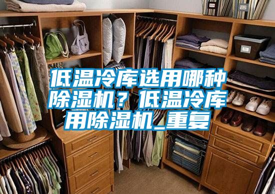 低溫冷庫選用哪種除濕機(jī)？低溫冷庫用除濕機(jī)_重復(fù)