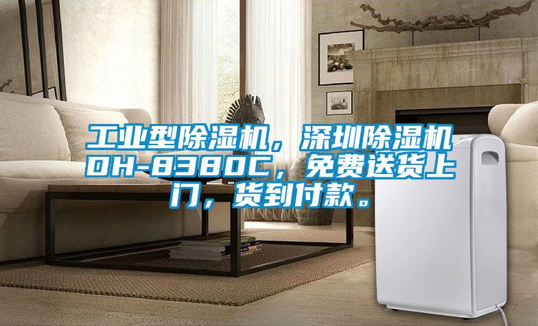 工業(yè)型除濕機，深圳除濕機DH-8380C，免費送貨上門，貨到付款。