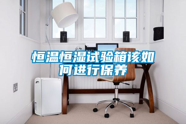 恒溫恒濕試驗箱該如何進(jìn)行保養(yǎng)