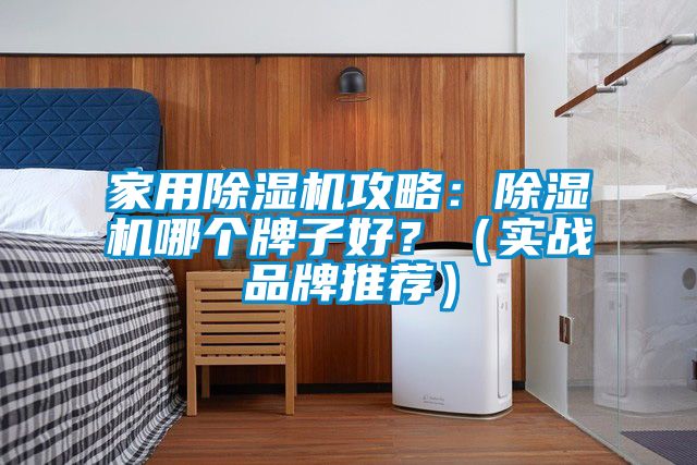 家用除濕機(jī)攻略：除濕機(jī)哪個(gè)牌子好？（實(shí)戰(zhàn)品牌推薦）