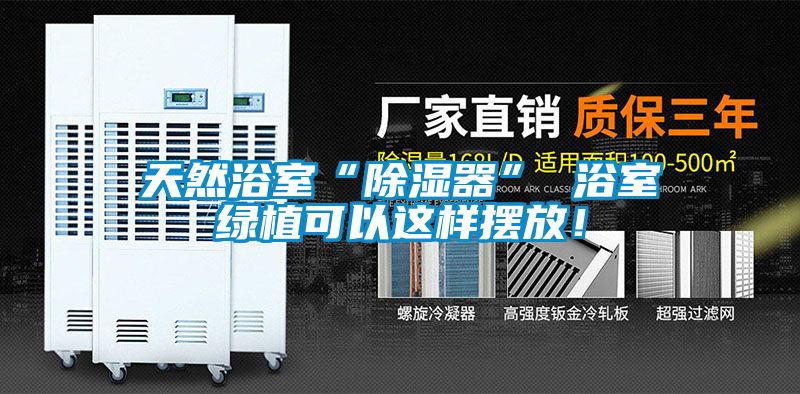 天然浴室“除濕器” 浴室綠植可以這樣擺放！