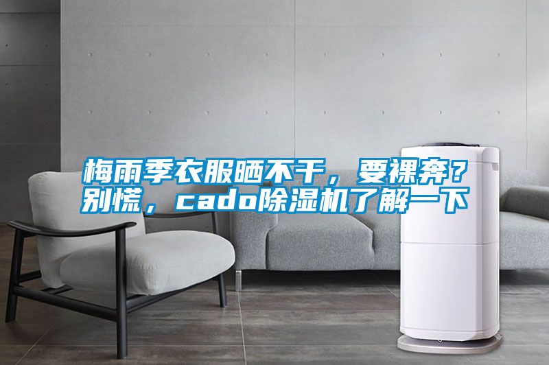 梅雨季衣服曬不干，要裸奔？別慌，cado除濕機了解一下
