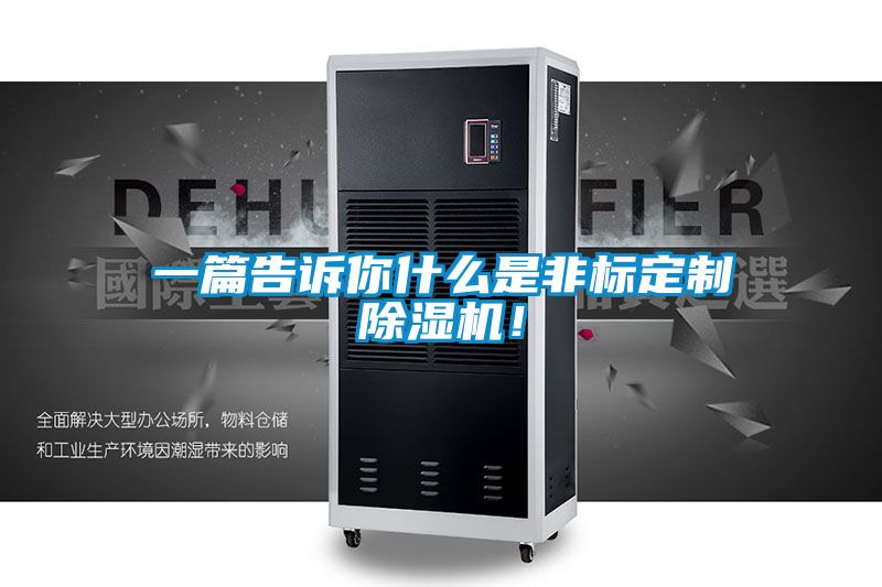 一篇告訴你什么是非標(biāo)定制除濕機(jī)！