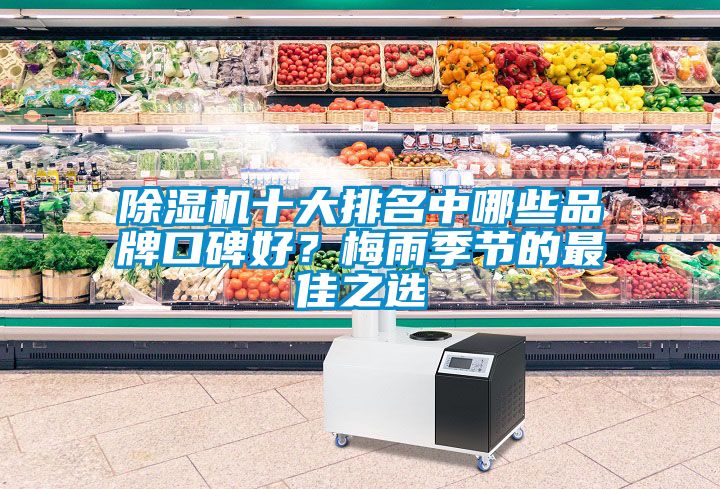 除濕機(jī)十大排名中哪些品牌口碑好？梅雨季節(jié)的最佳之選