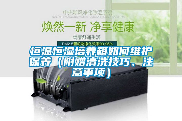 恒溫恒濕培養(yǎng)箱如何維護(hù)保養(yǎng)（附贈(zèng)清洗技巧、注意事項(xiàng)）