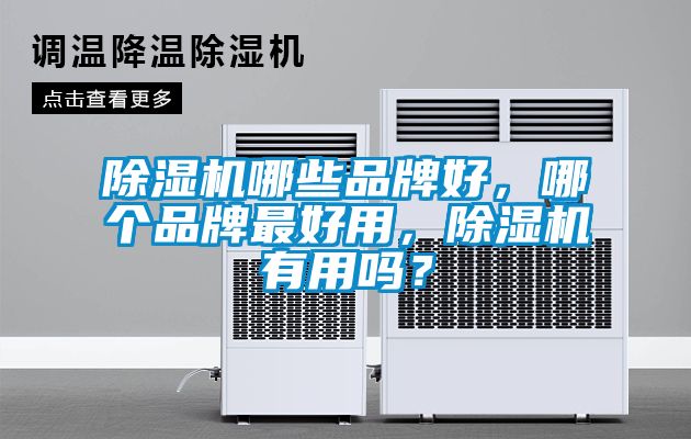 除濕機(jī)哪些品牌好，哪個品牌最好用，除濕機(jī)有用嗎？