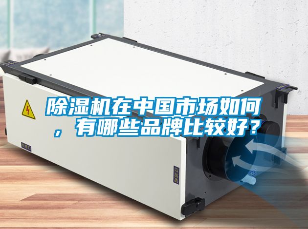 除濕機在中國市場如何，有哪些品牌比較好？