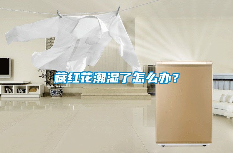 藏紅花潮濕了怎么辦？