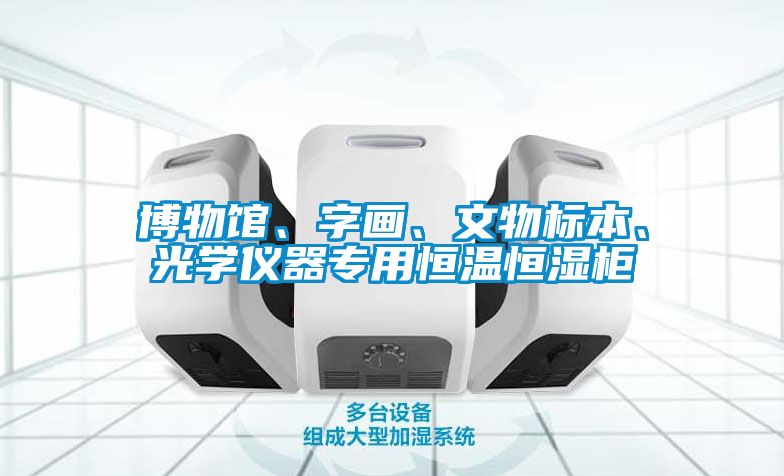 博物館、字畫、文物標(biāo)本、光學(xué)儀器專用恒溫恒濕柜