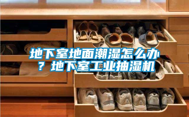 地下室地面潮濕怎么辦？地下室工業(yè)抽濕機