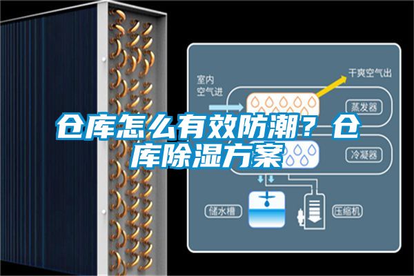 倉庫怎么有效防潮？倉庫除濕方案