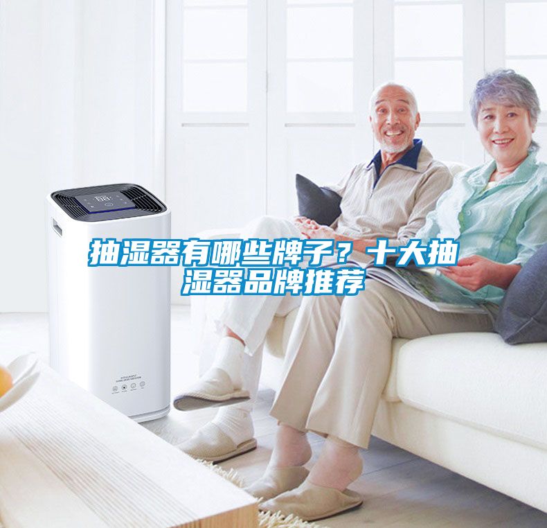 抽濕器有哪些牌子？十大抽濕器品牌推薦