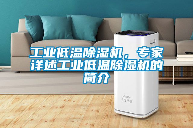 工業(yè)低溫除濕機(jī)，專家詳述工業(yè)低溫除濕機(jī)的簡介