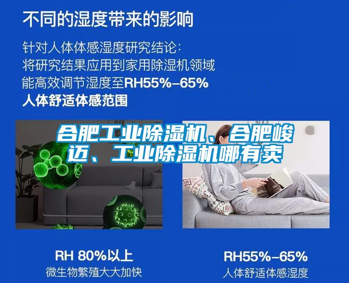 合肥工業(yè)除濕機、合肥峻邁、工業(yè)除濕機哪有賣