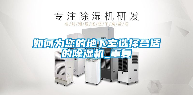 如何為您的地下室選擇合適的除濕機_重復(fù)