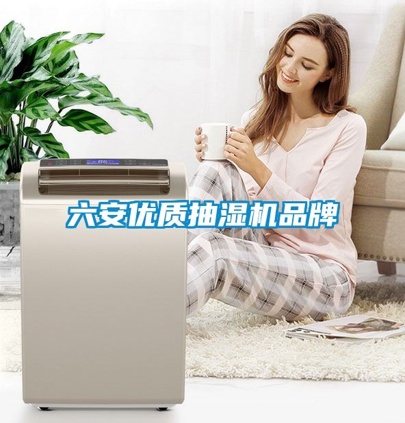 六安優(yōu)質(zhì)抽濕機品牌