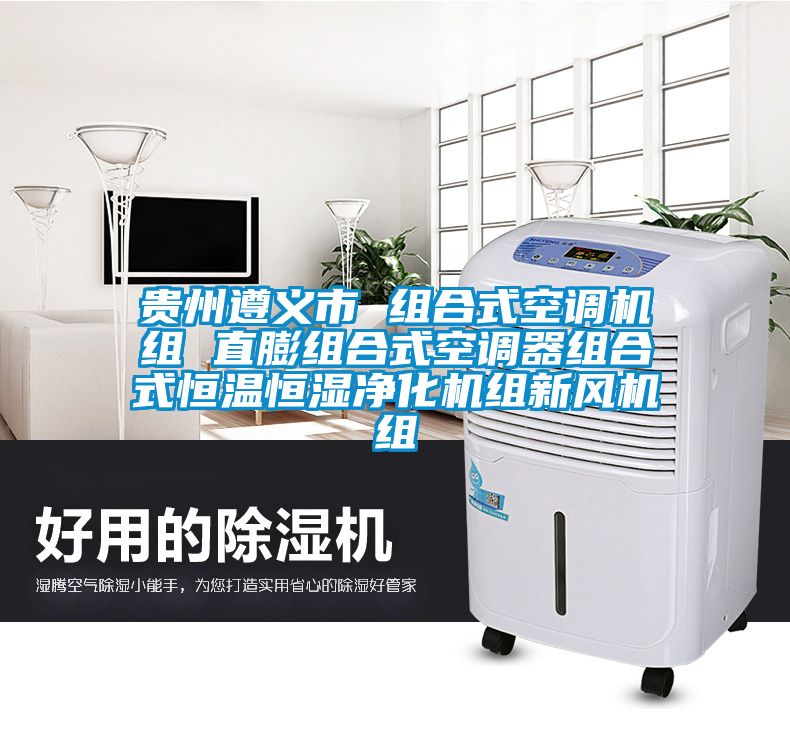 貴州遵義市 組合式空調(diào)機組 直膨組合式空調(diào)器組合式恒溫恒濕凈化機組新風機組