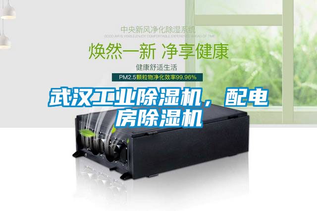 武漢工業(yè)除濕機(jī)，配電房除濕機(jī)