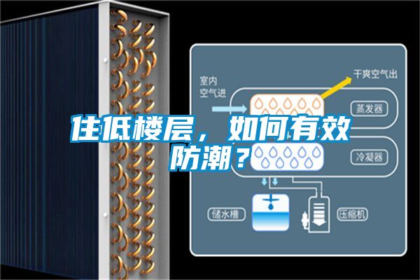 住低樓層，如何有效防潮？
