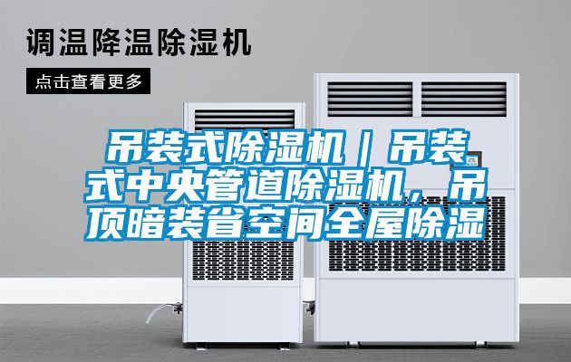 吊裝式除濕機｜吊裝式中央管道除濕機，吊頂暗裝省空間全屋除濕
