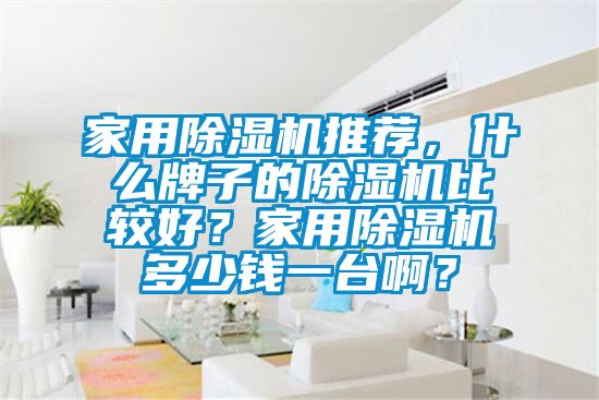 家用除濕機(jī)推薦，什么牌子的除濕機(jī)比較好？家用除濕機(jī)多少錢(qián)一臺(tái)??？