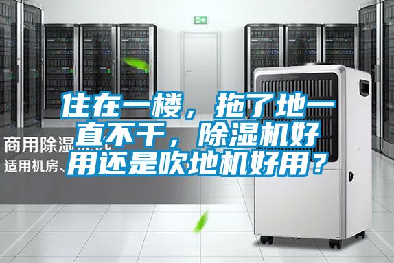 住在一樓，拖了地一直不干，除濕機(jī)好用還是吹地機(jī)好用？