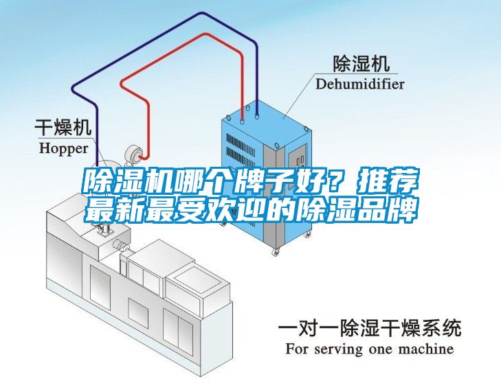 除濕機哪個牌子好？推薦最新最受歡迎的除濕品牌