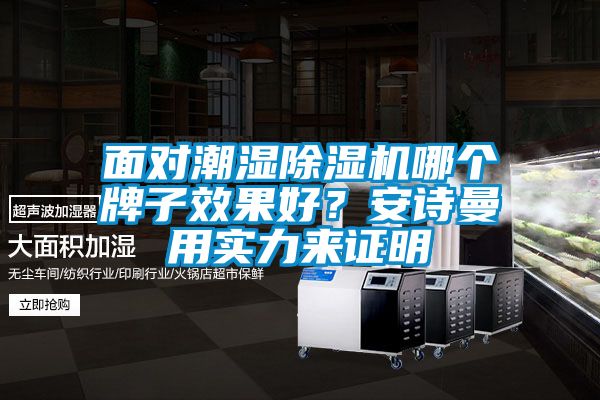 面對潮濕除濕機(jī)哪個牌子效果好？安詩曼用實力來證明