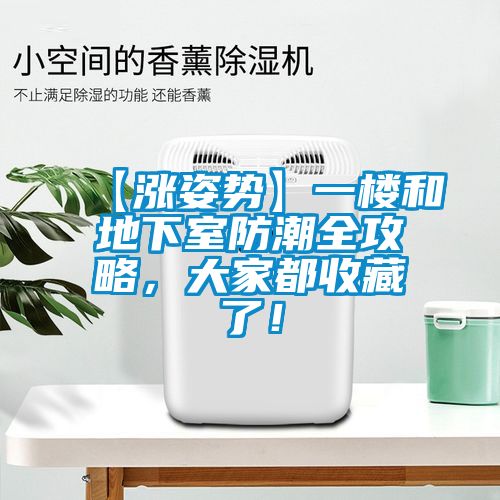 【漲姿勢】一樓和地下室防潮全攻略，大家都收藏了！