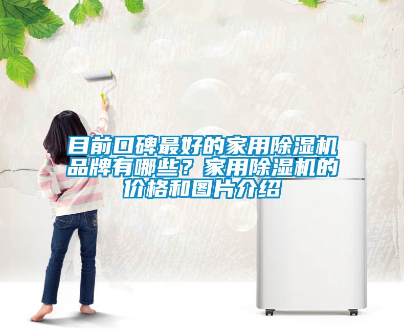 目前口碑最好的家用除濕機(jī)品牌有哪些？家用除濕機(jī)的價(jià)格和圖片介紹