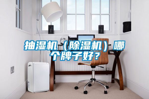 抽濕機(jī)（除濕機(jī)）哪個牌子好？